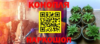 дмт Мариинск