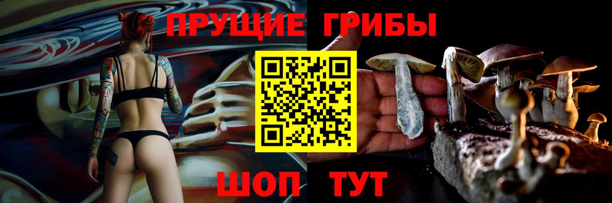 Галлюциногенные грибы прущие грибы Воронеж
